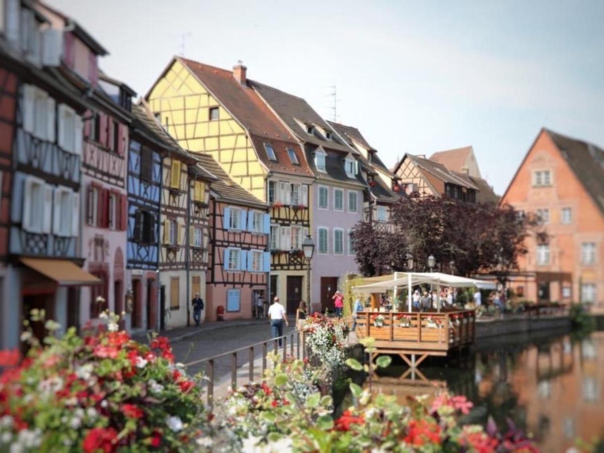 Appartement Spacieux A Colmar Avec Terrasse, Garage Privatif, Proche Centre Et Gare - Fr-1-722-2 Exteriér fotografie